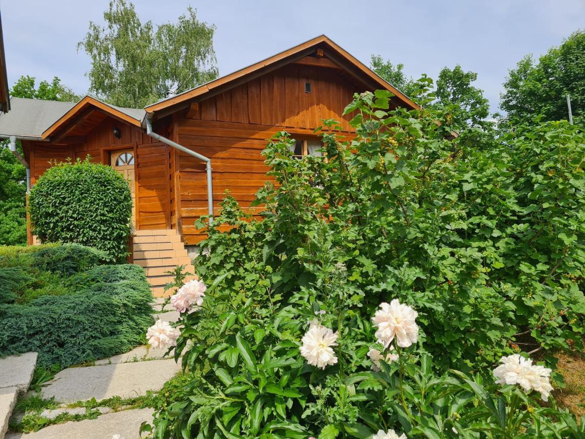 Teatralna1 Piechowice (Karkonosze) Exterior foto